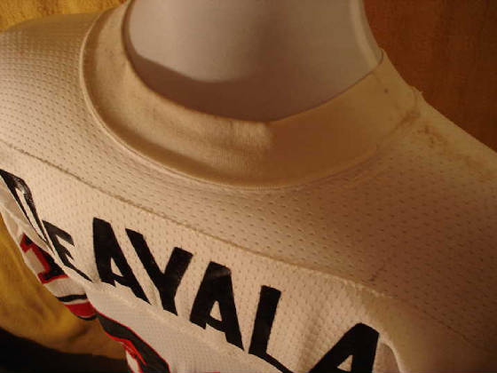 DeAyalaJersey/deayala003.JPG